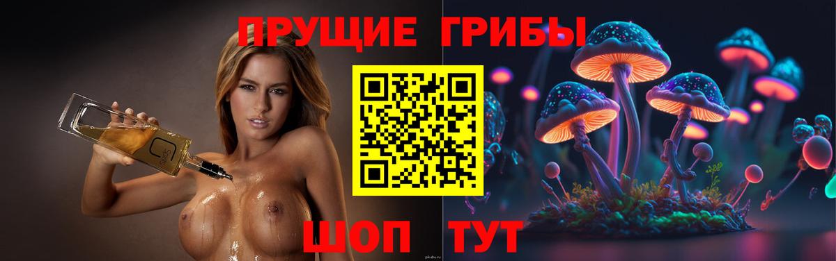 Псилоцибиновые грибы GOLDEN TEACHER  Вход с VPN  где можно купить наркотик  Пугачёв  Псилоцибиновые грибы ЛСД 