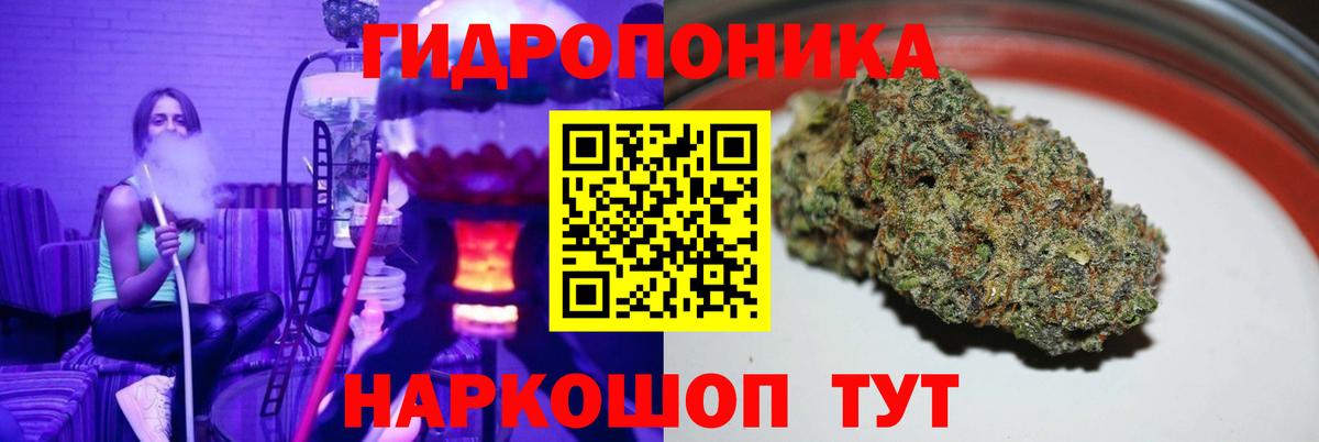 Шишки марихуана тримм  Конопля Ganja  Пугачёв  Вход с VPN 